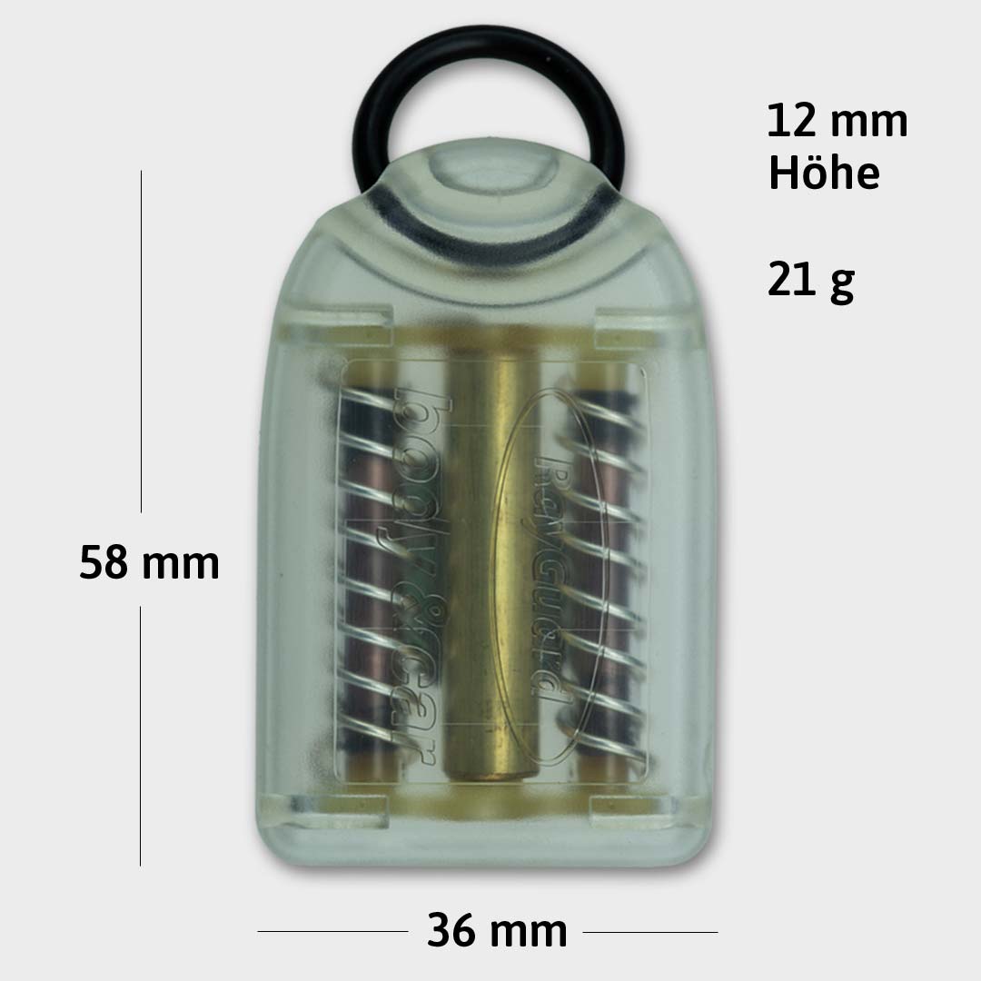 RayGuard Body & Car – Bild 4